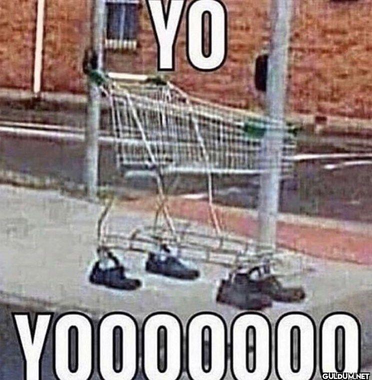 YO YOOOOOOOO