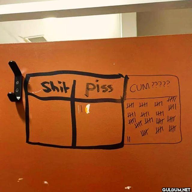 Shit Piss CUM ????