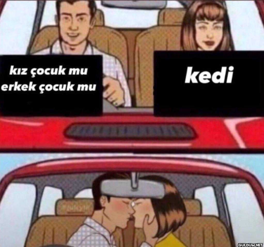 kız çocuk mu erkek çocuk mu kedi