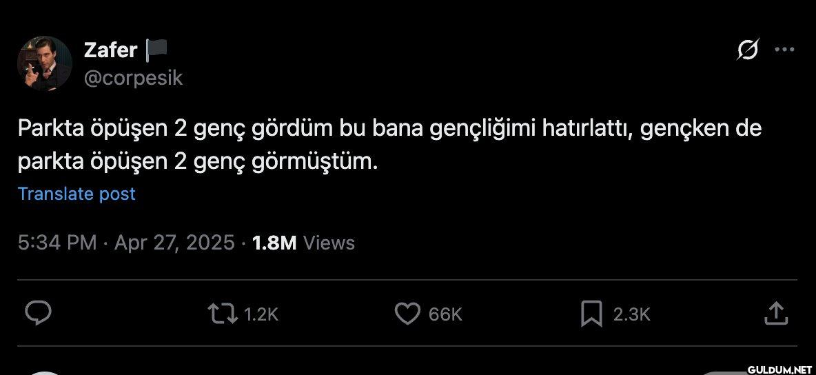 Parkta öpüşen 2 genç...