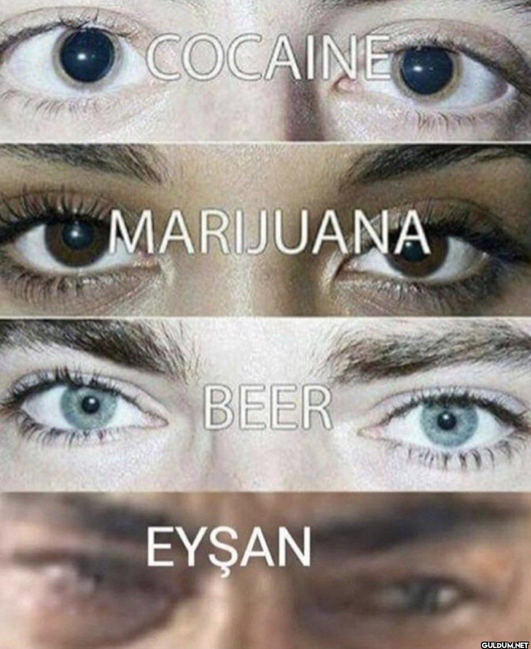 COCAINE MARIJUANA BEER EYŞAN
