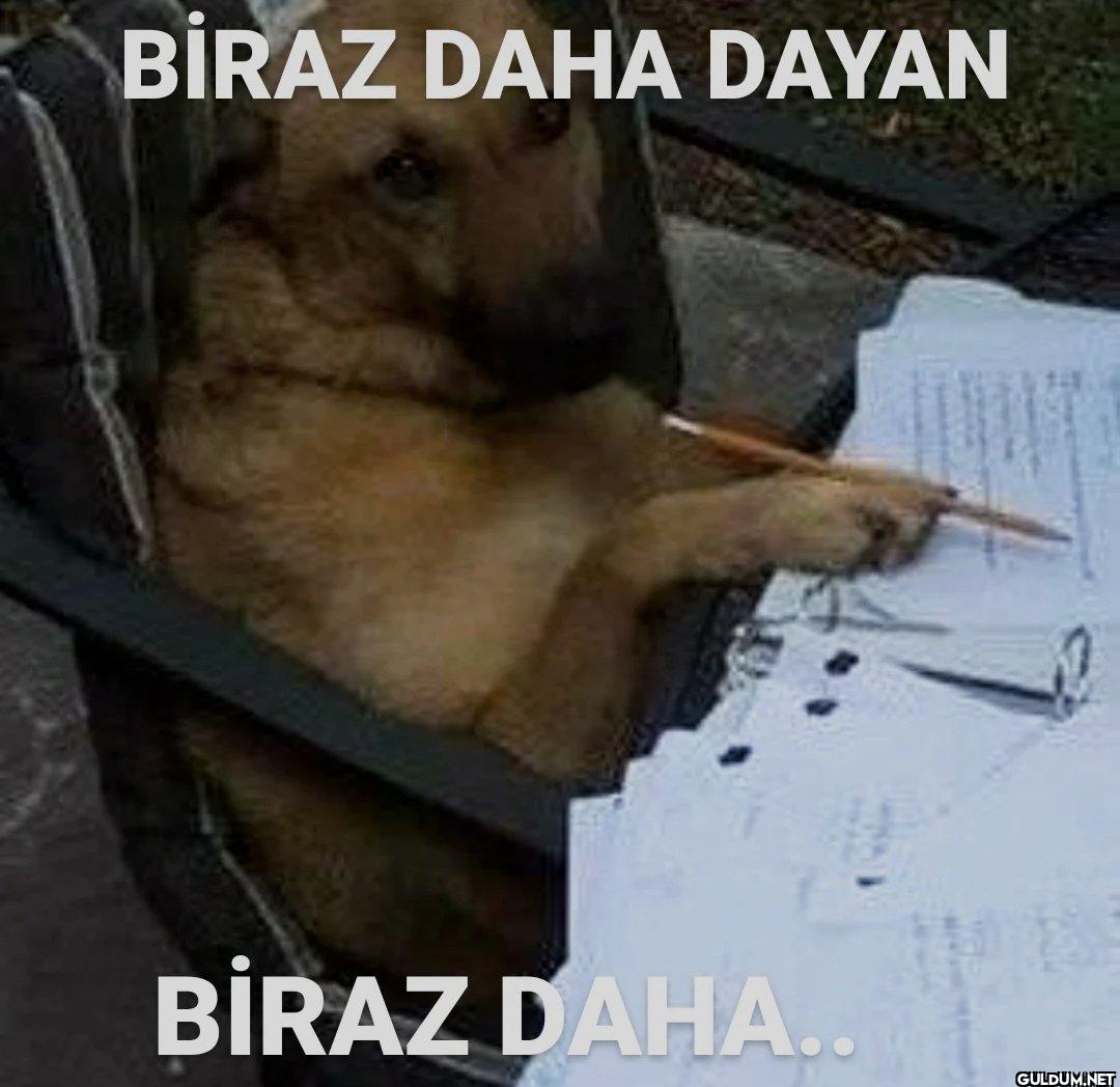 BİRAZ DAHA DAYAN BİRAZ DAHA..