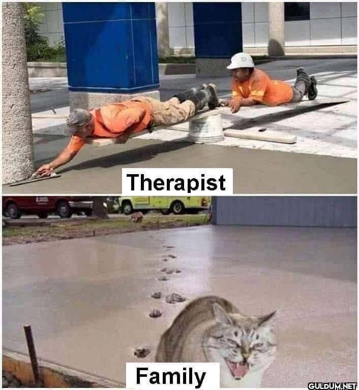 Therapist Family