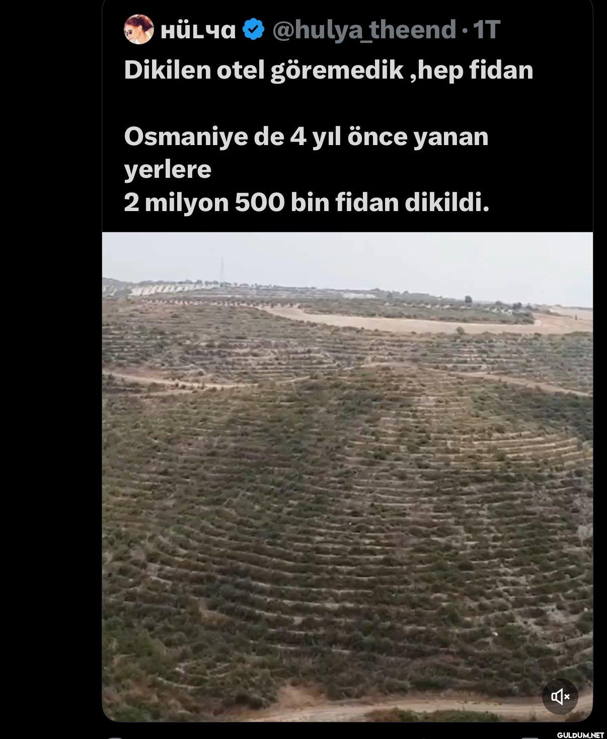 Osmaniye’ye kim niye otel...