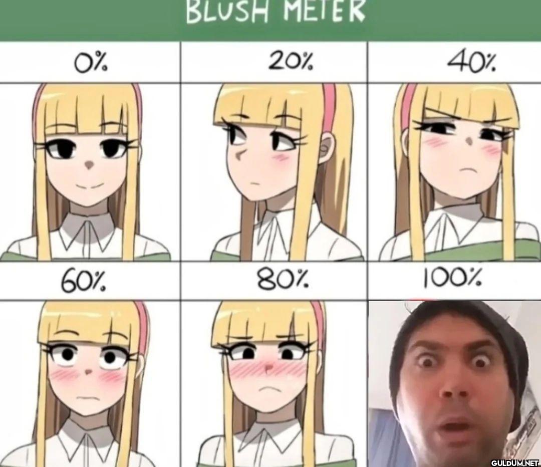 BLUSH METER 0% 20% 40% 60% 80% 100%