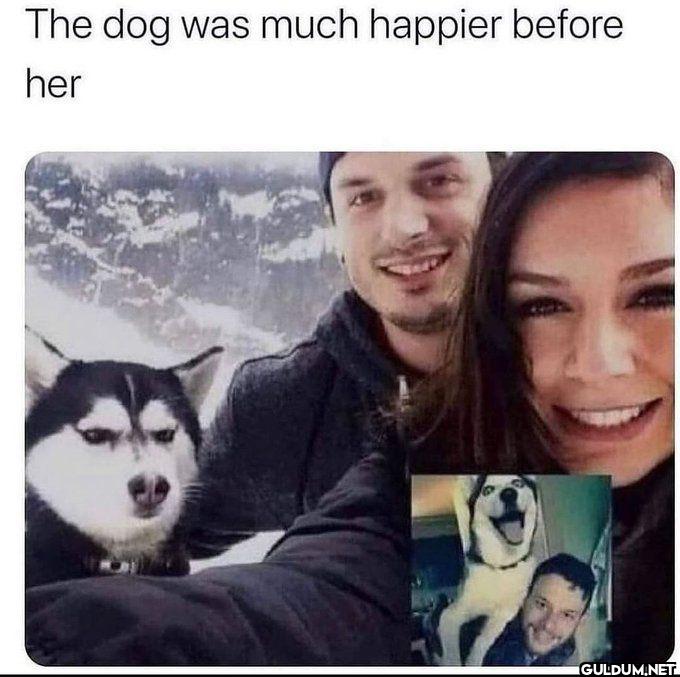 I wonder why lmao    The...