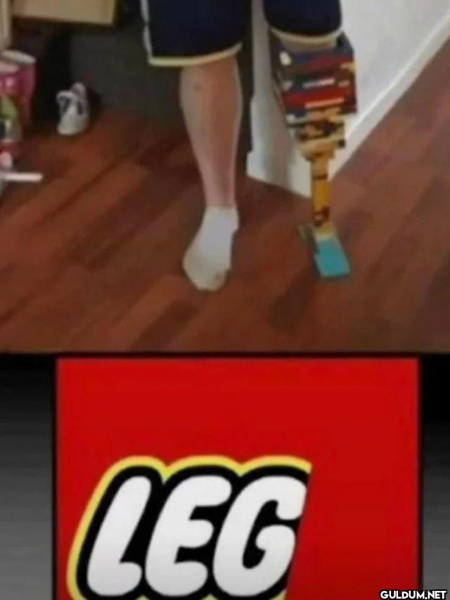 LEG
