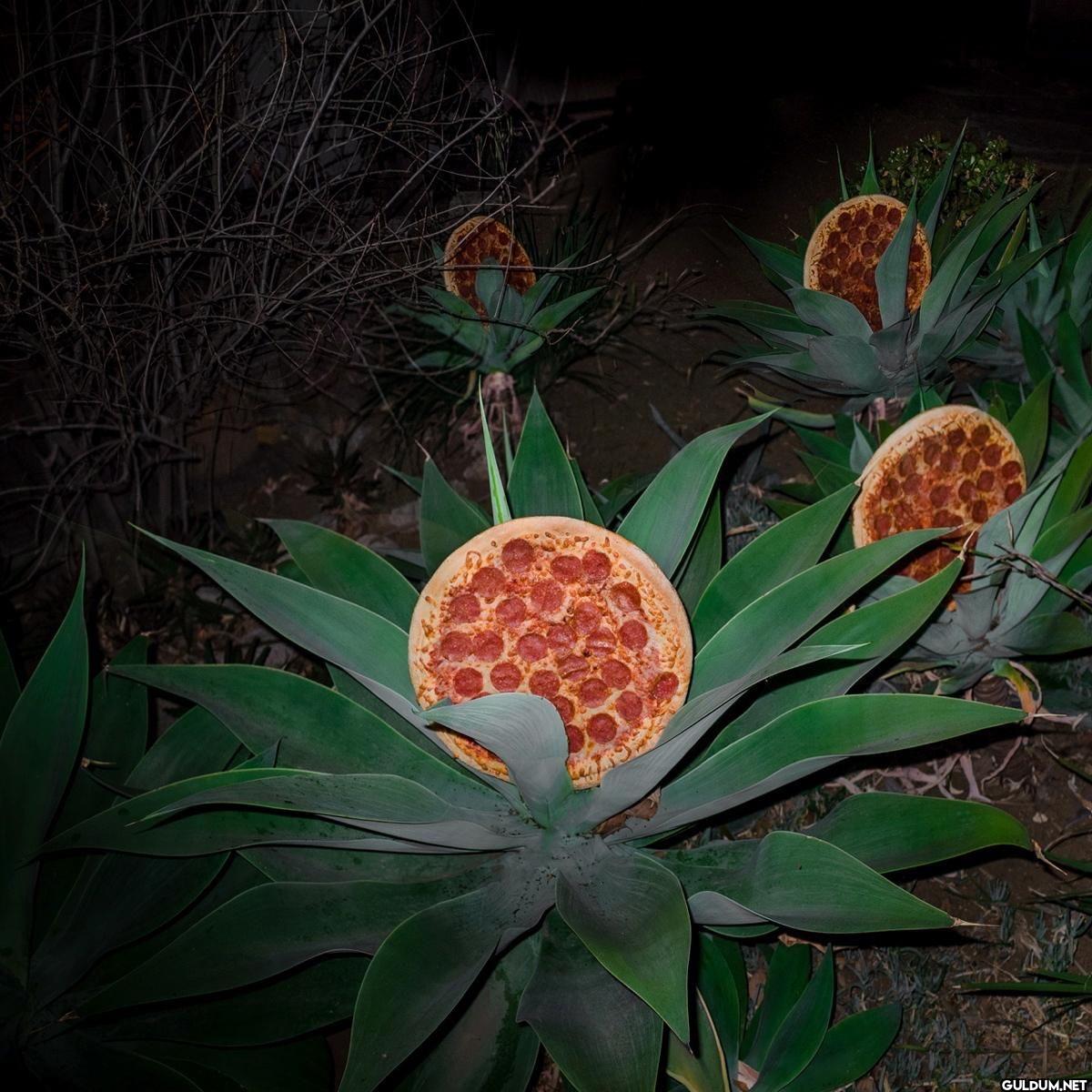 ︎ ︎ ︎ ︎