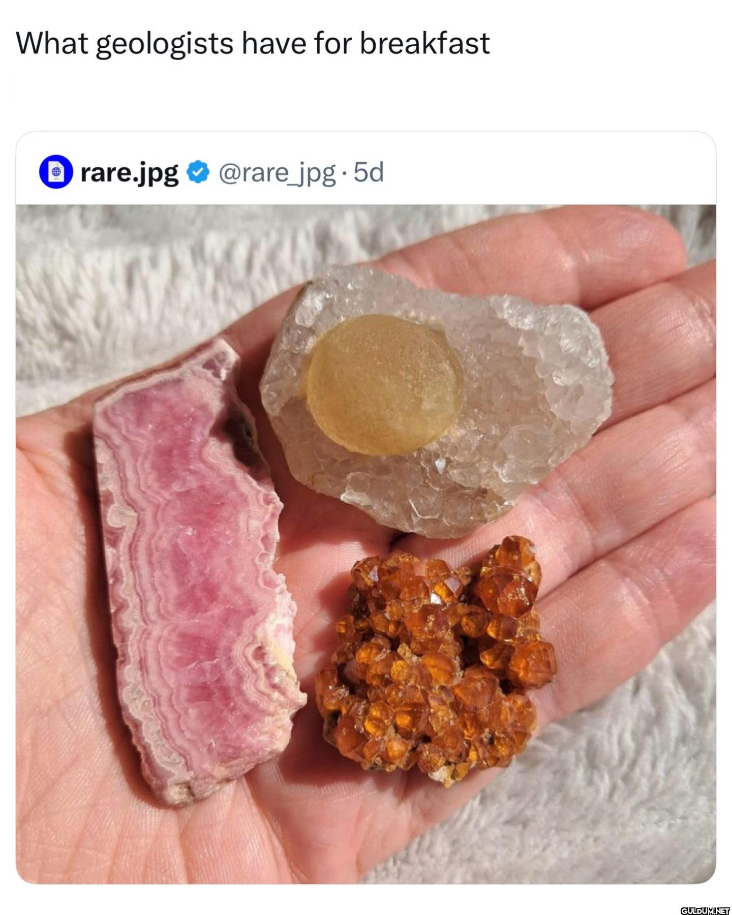 What geologists have for...