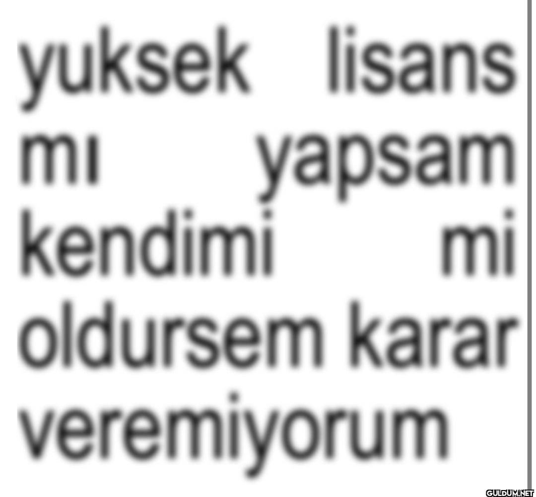 yuksek lisans mi yapsam...