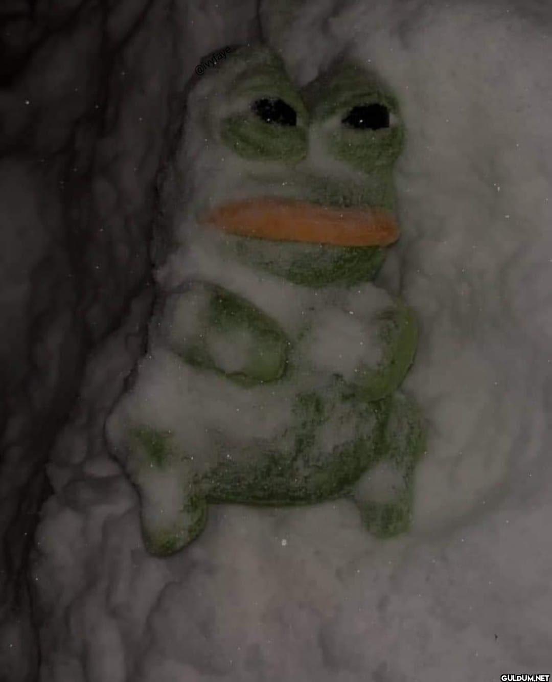 the vegetables in my...