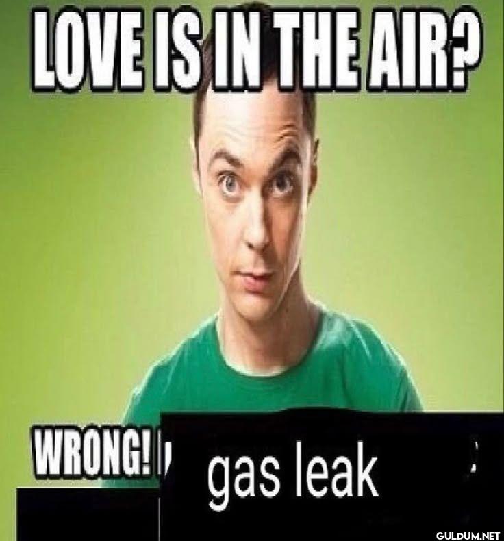LOVE IS IN THE AIR? WRONG! gas leak
