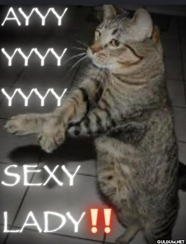 AYYY YYYY YYYY SEXY LADY!!