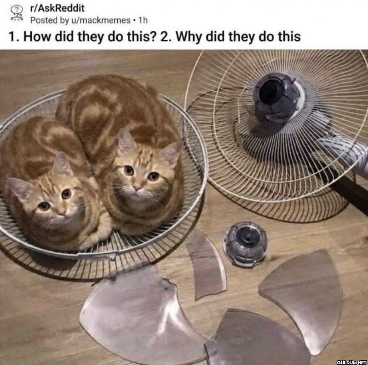 1h 1. How did they do...