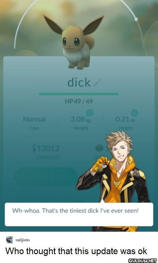 dick HP49/49 Normal 3.08...