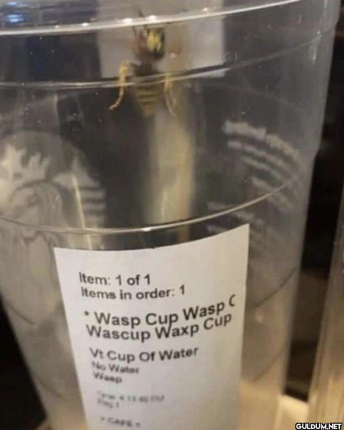 Item: 1 of 1 Items in...