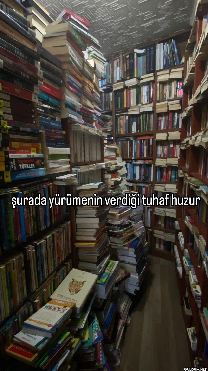 ASW MILE AVETOL KURSH Ally...
