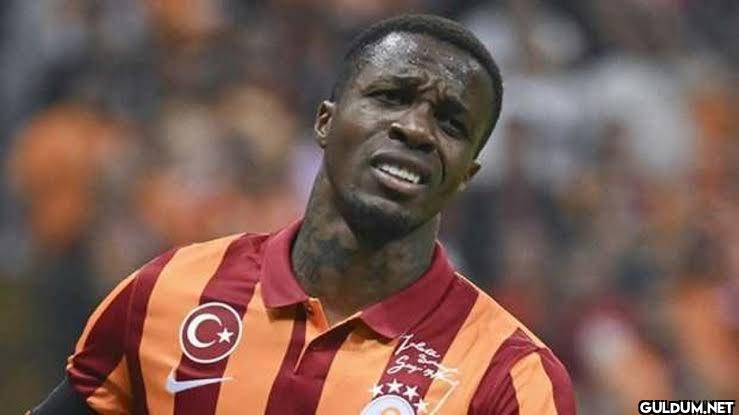 elemanların mimikler    O...