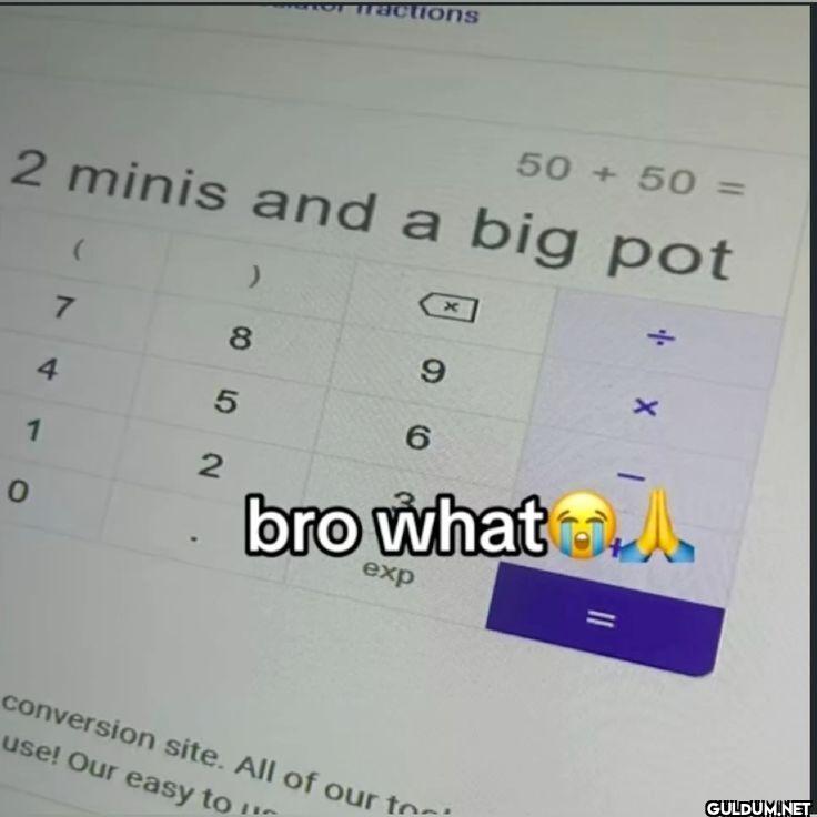 2 minis and a big pot 50 +...