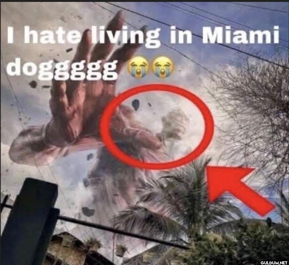 I hate living in Miami doggggg