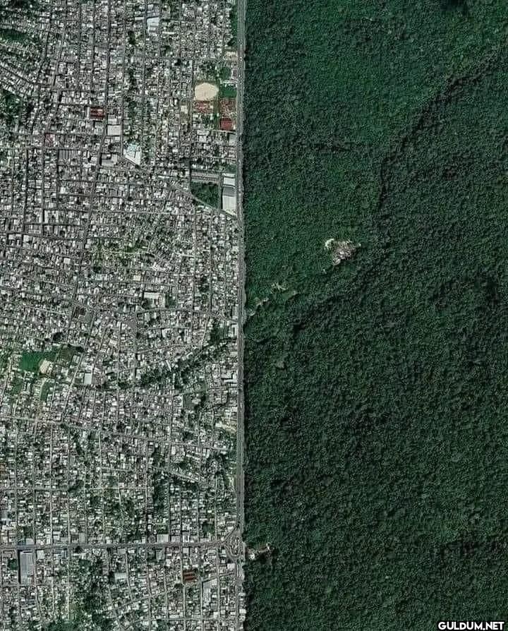 The border between the...