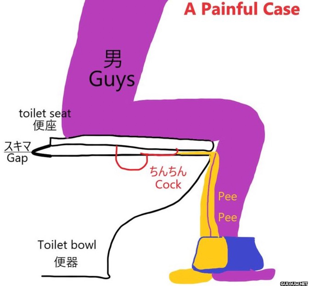 男 toilet seat スキマ 便座 Guys...