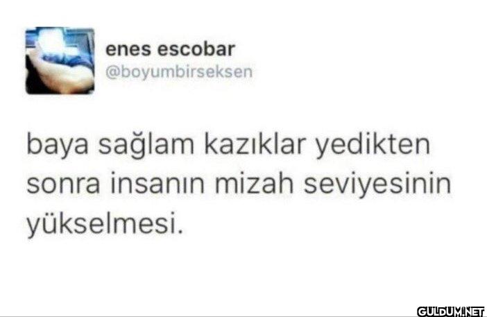 baya sağlam kazıklar...