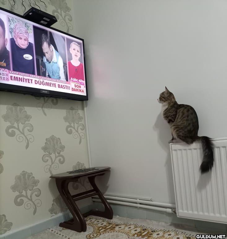 Şöyle pürdikkat okuduk...