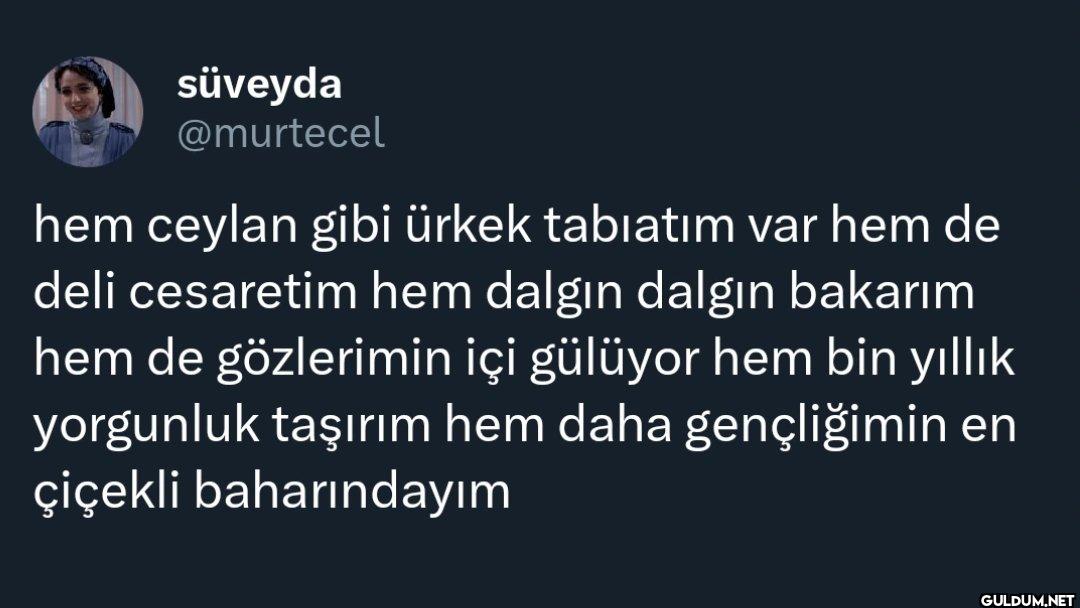 hem ceylan gibi ürkek...