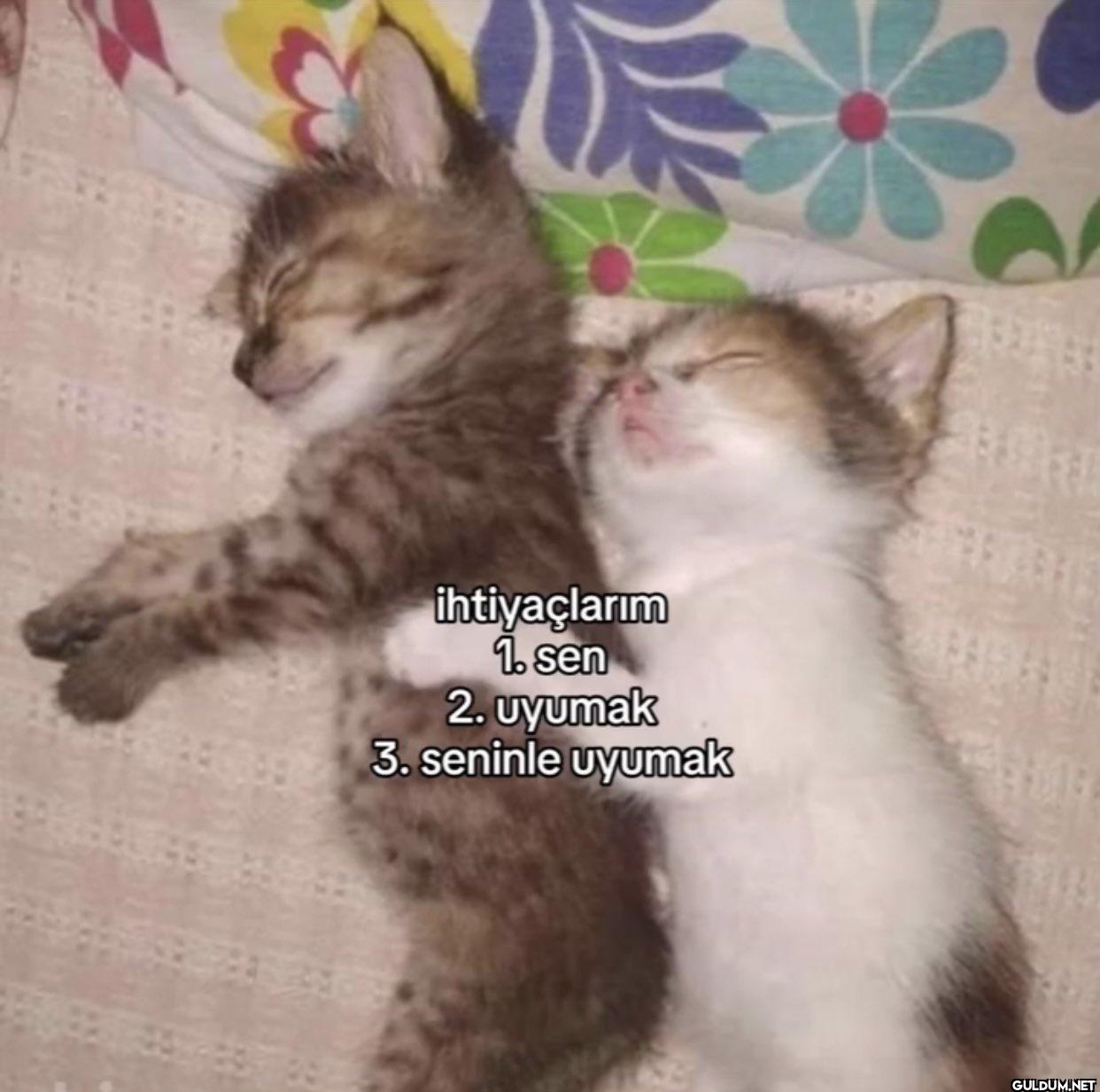 ihtiyaçlarım 1. sen 2....