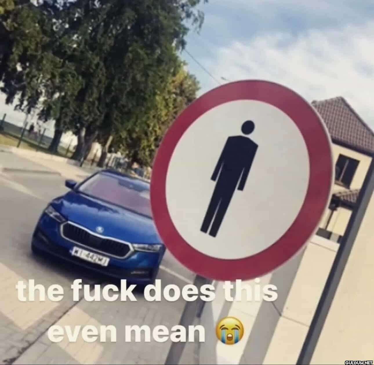the fuck does this even mean