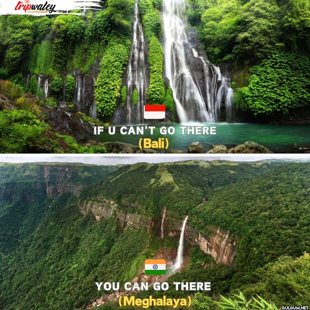 =tripwaley IF U CAN'T GO...