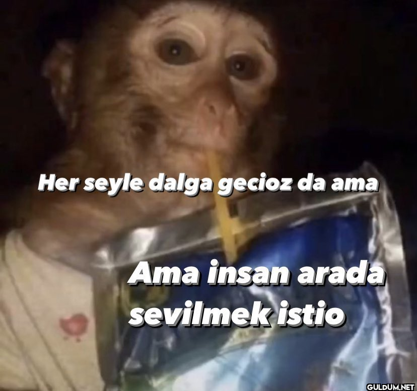 Dört ayda bir gelen benim...