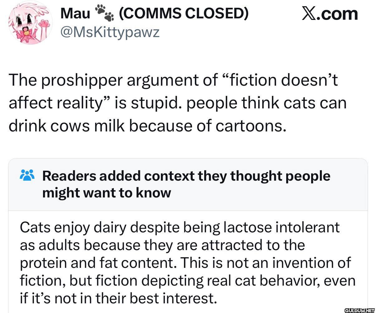 Cats really drink milk   ...