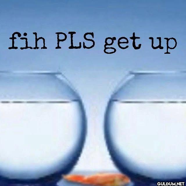 fih PLS get up