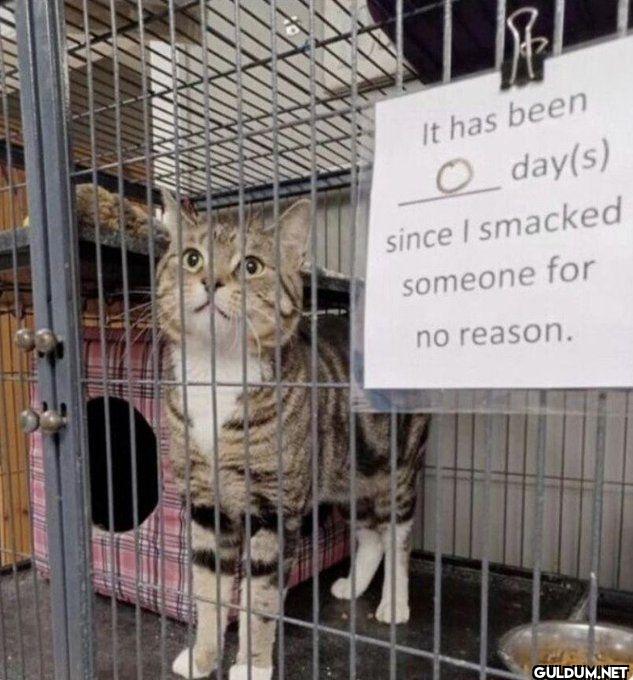 It has been 0 day s since...
