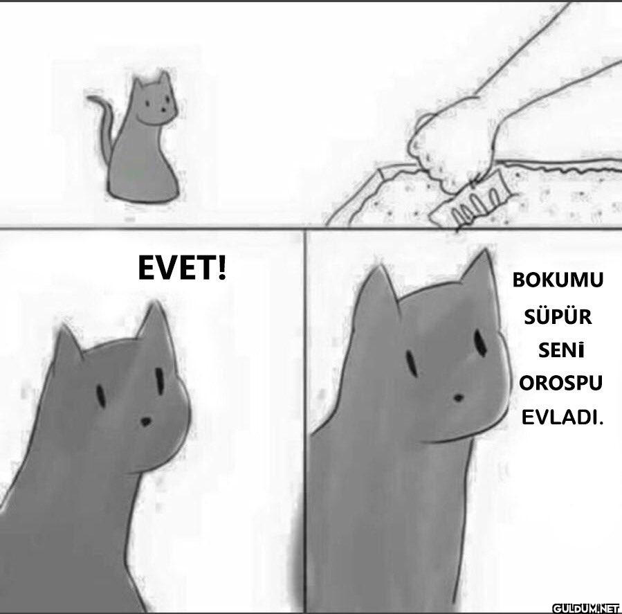 EVET! BOKUMU SÜPÜR SENİ...