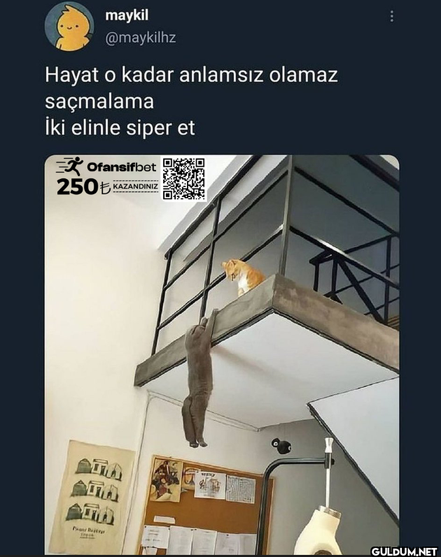 Hayat o kadar anlamsız...