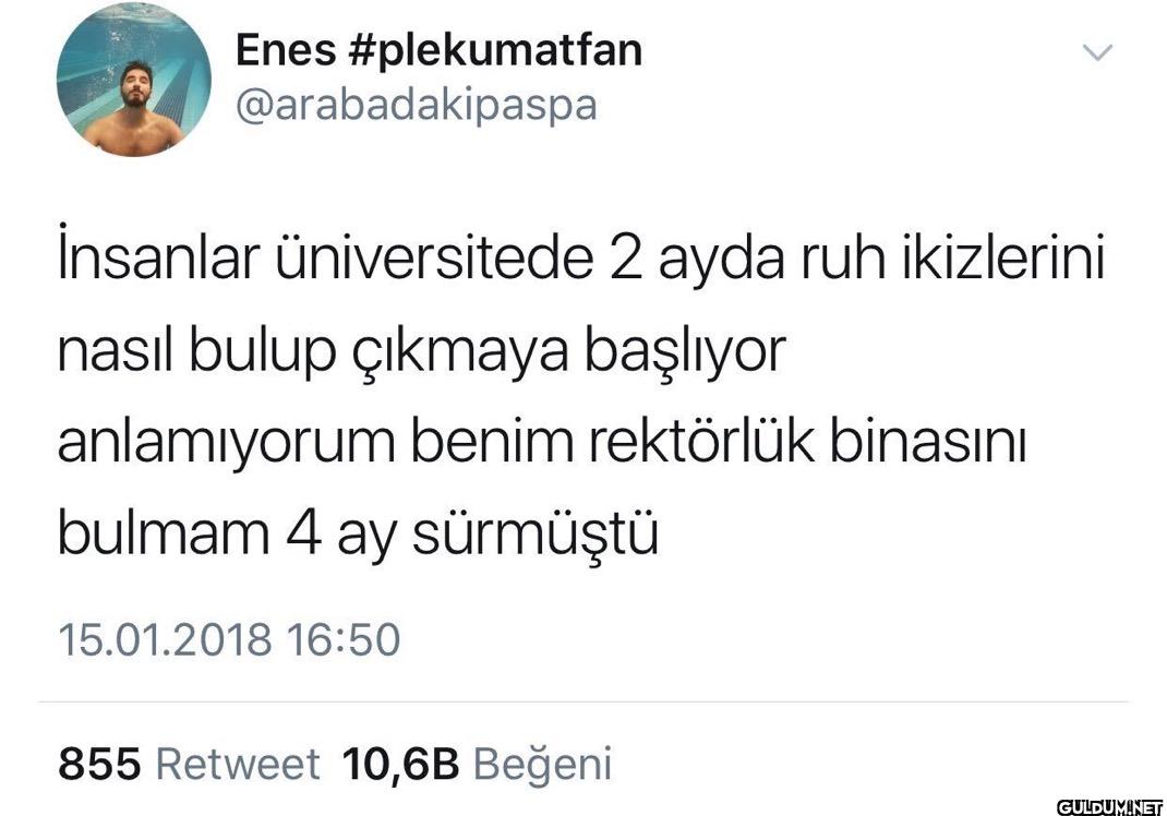 İnsanlar üniversitede 2...