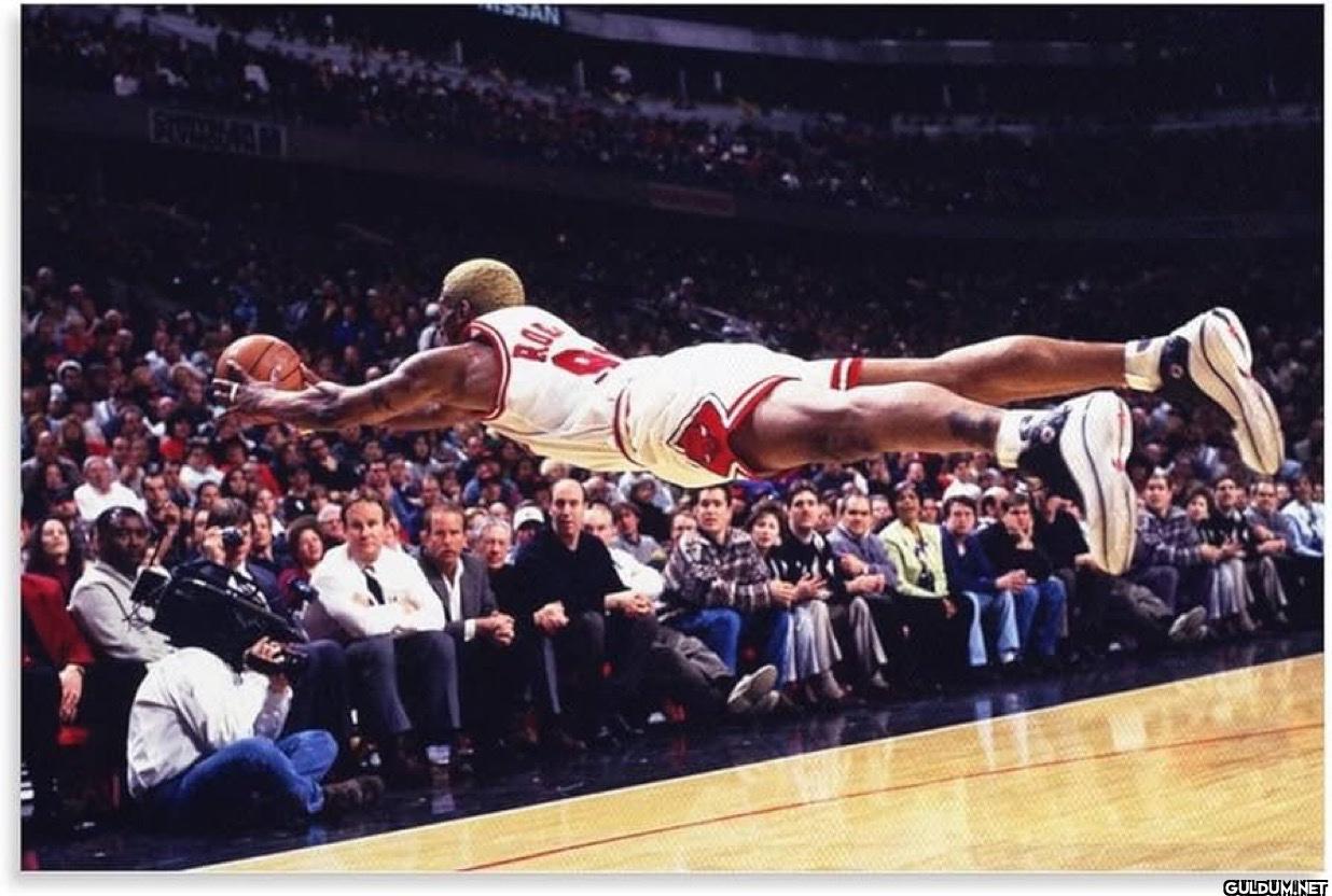 14. Dennis Rodman    STORING MY