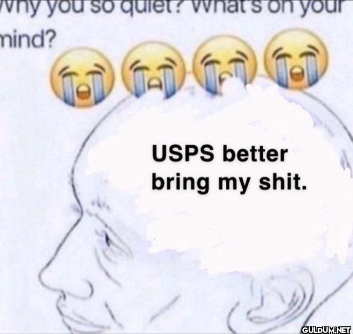 Why you so quiet? What's...