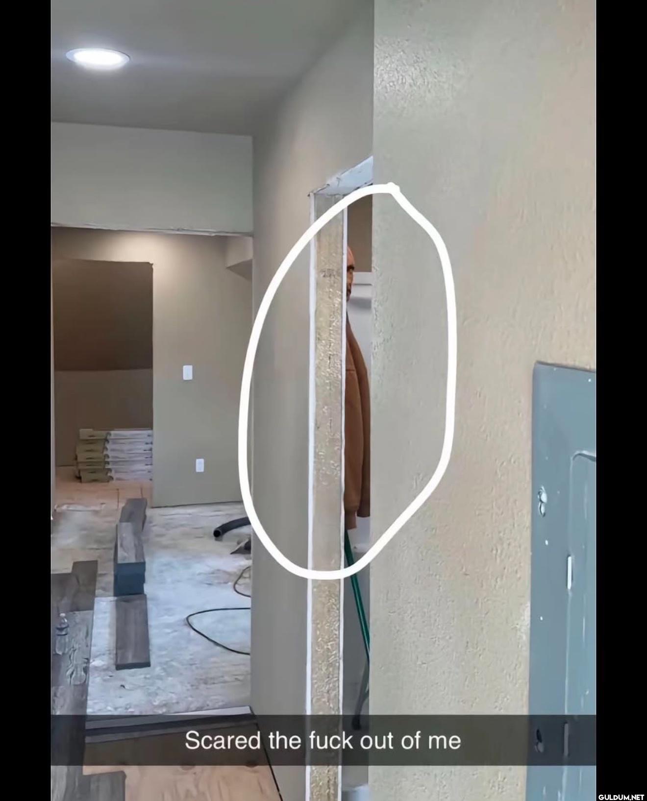 Scared the fuck out of me