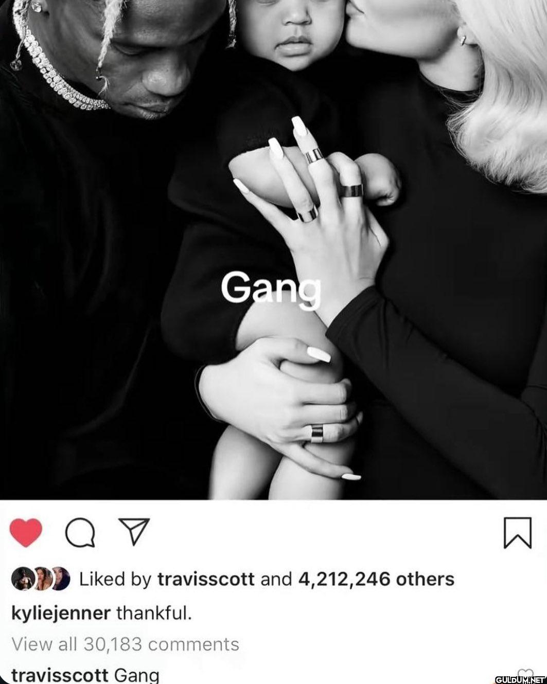 Gang о >>> Liked by...