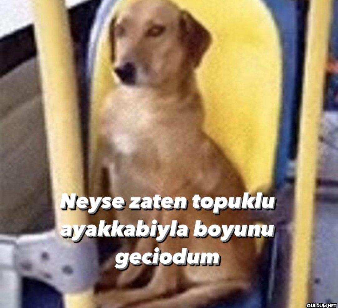 Neyse zaten topuklu...