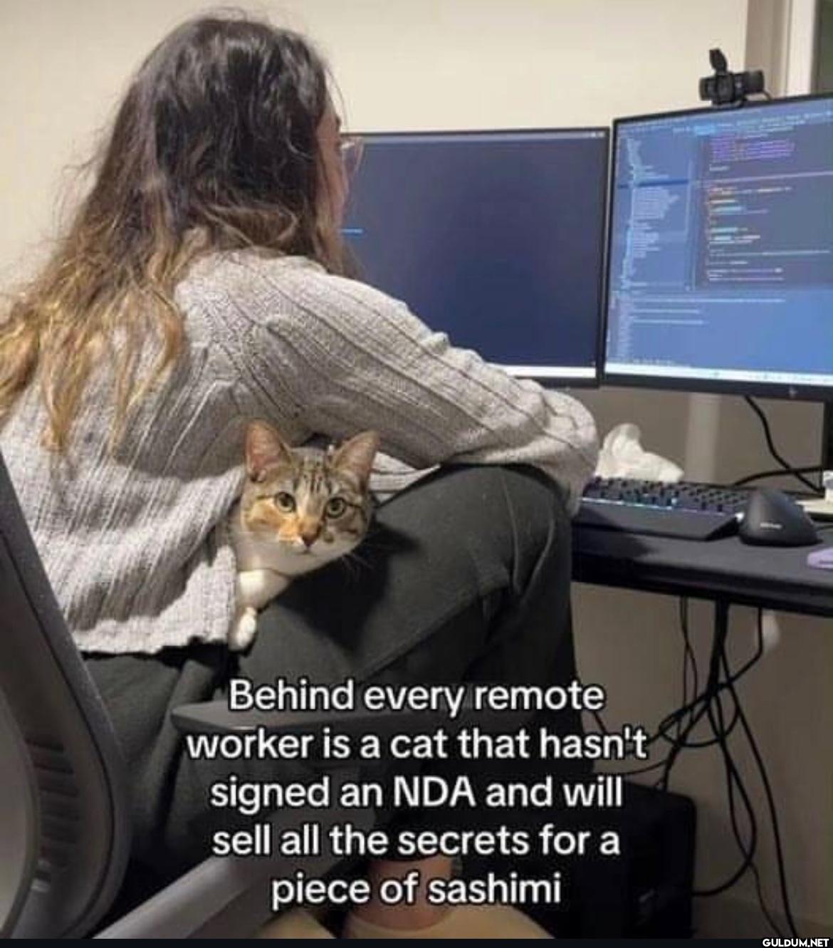 Behind every remote worker...