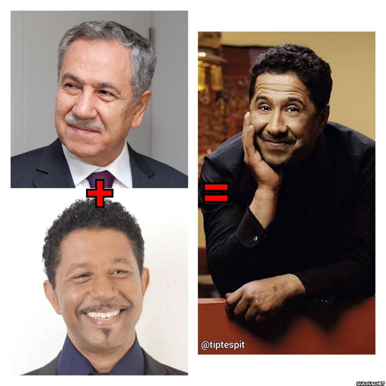 Bülent Arınç + Mansur Ark...