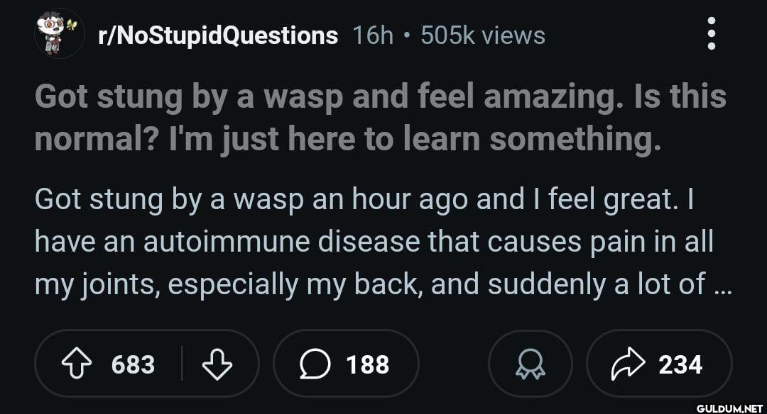 • r/NoStupidQuestions 16h...