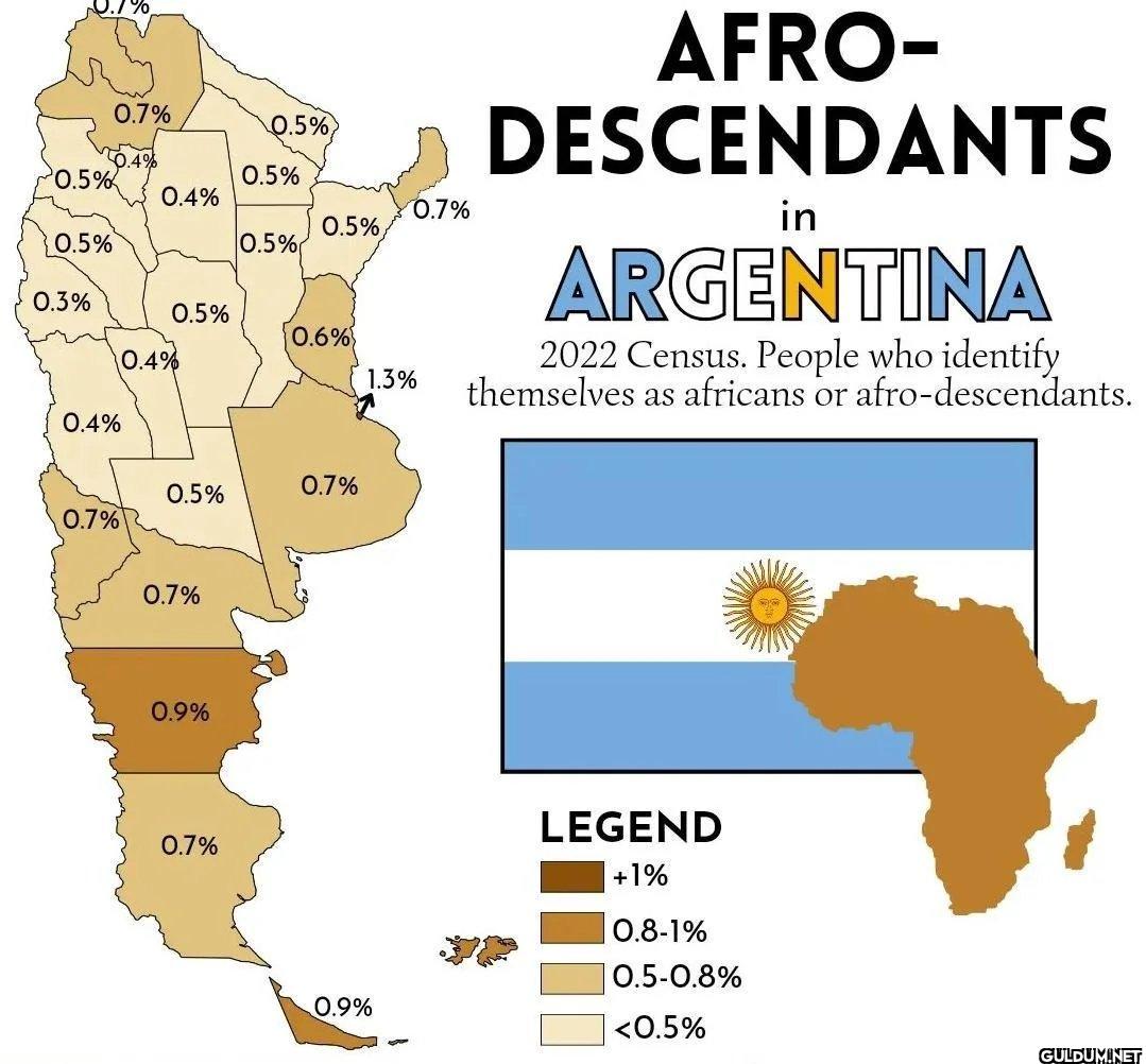 Afro-descendants in...