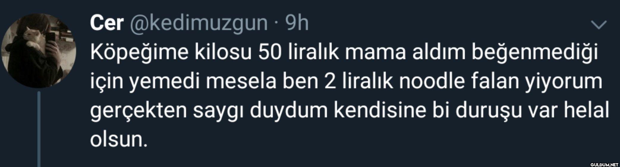 . 9h Köpeğime kilosu 50...