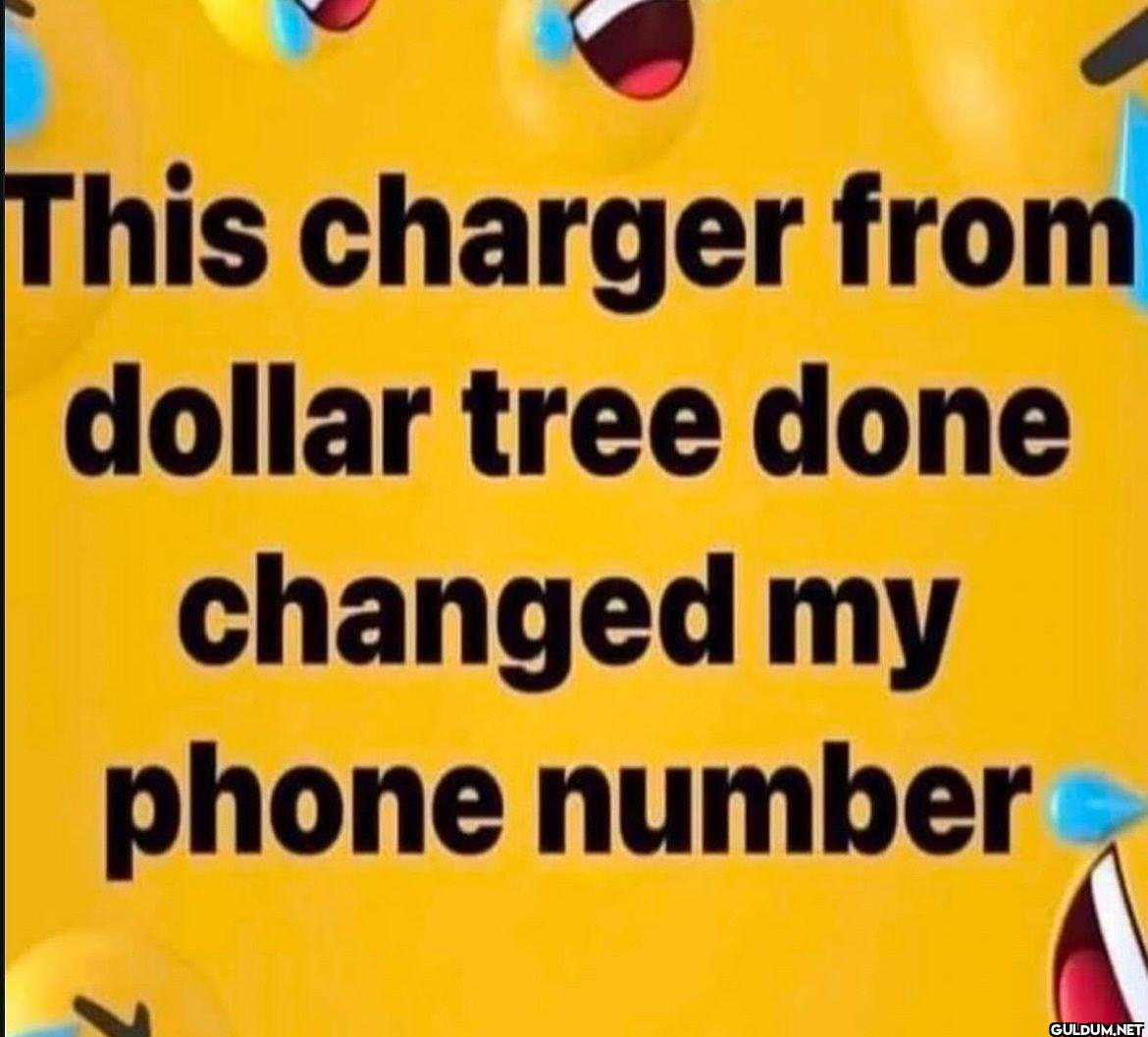 This charger from dollar...